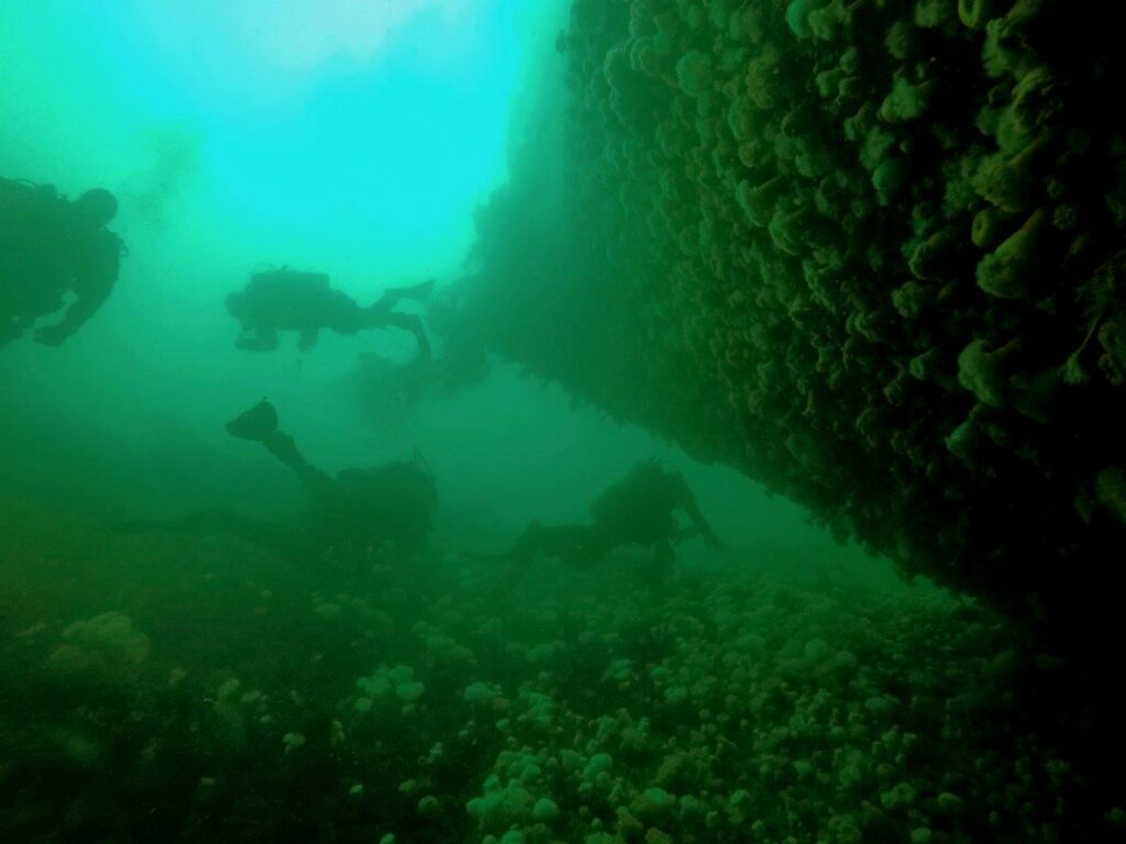 Sound of Mull - divers on Rondo stern